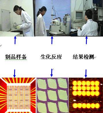 生物芯片北京國家工程研究中心項目通過國家驗收